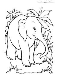 Elephant 11